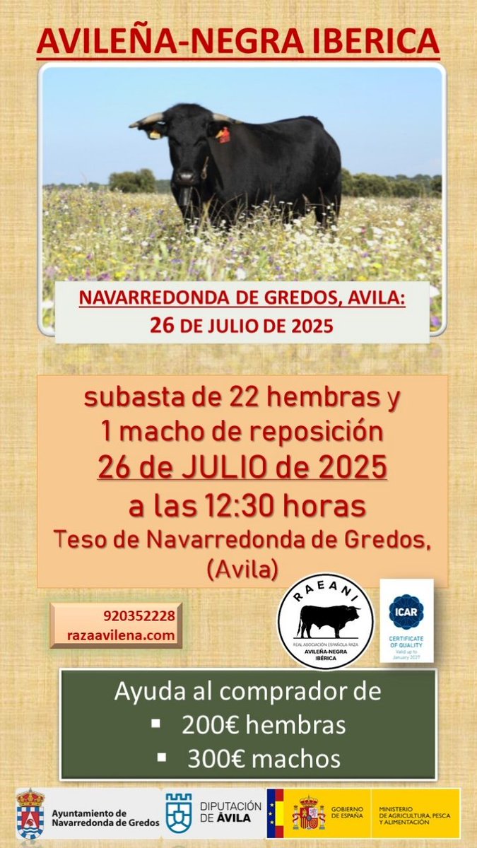 📢 feria de #Navarredonda próximo 2️⃣6️⃣ de julio.  Os esperamos 🐃👨‍🌾👩‍🌾
#avileña #100x100nuestro #Subasta #ElCampoNoPara #rural_love #ganaderia #ganaderiasostenible