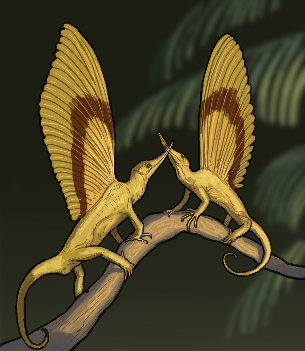 Joschua Knüppe (@joschuaknuppe) on Twitter photo Its finally out! Please Welcome Mirasaura! A new drepanosaur from the Middle Triassic of France. <a href="/SerpenIllus/">Gabriel N. U.</a> made the press artwork but I couldn't hold back and had to do my own interpretation during break time =) Its finally out! Please Welcome Mirasaura! A new drepanosaur from the Middle Triassic of France. <a href="/SerpenIllus/">Gabriel N. U.</a> made the press artwork but I couldn't hold back and had to do my own interpretation during break time =)