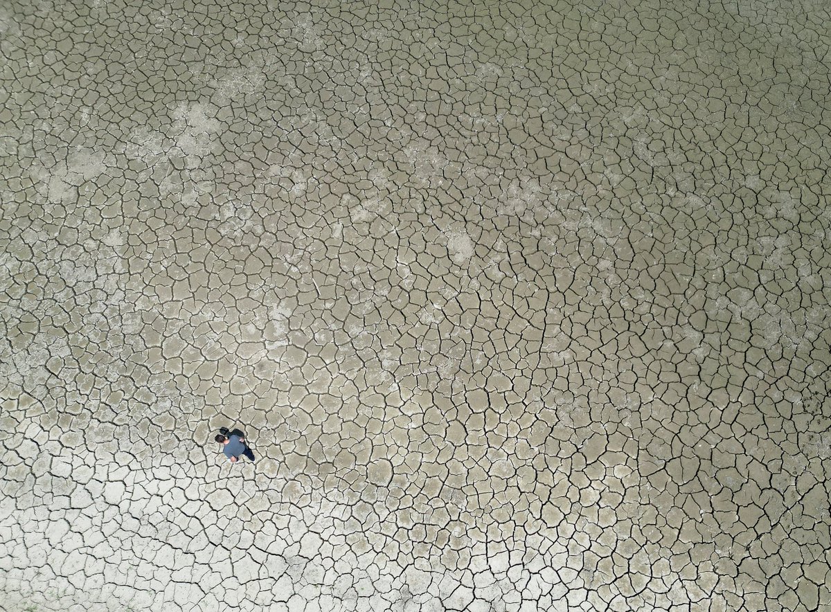 RSE_Balkan's tweet image. Vrućine prazne Gružansko jezero u Srbiji
Više: tinyurl.com/mr32u5x3
Foto: Reuters