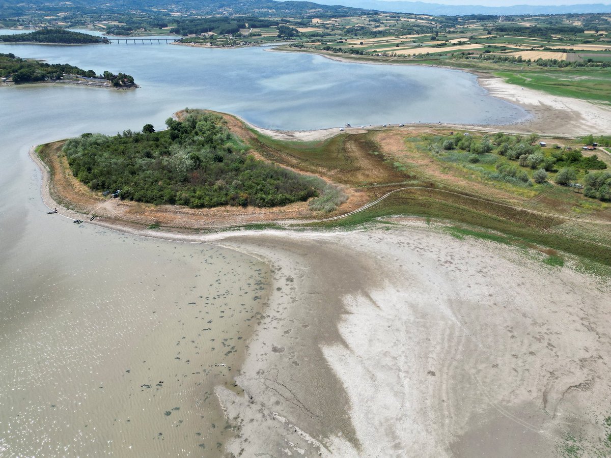RSE_Balkan's tweet image. Vrućine prazne Gružansko jezero u Srbiji
Više: tinyurl.com/mr32u5x3
Foto: Reuters
