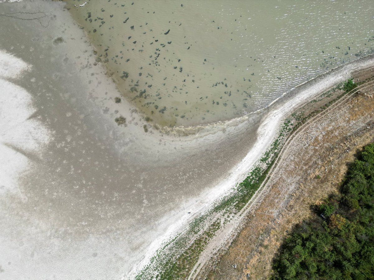 RSE_Balkan's tweet image. Vrućine prazne Gružansko jezero u Srbiji
Više: tinyurl.com/mr32u5x3
Foto: Reuters