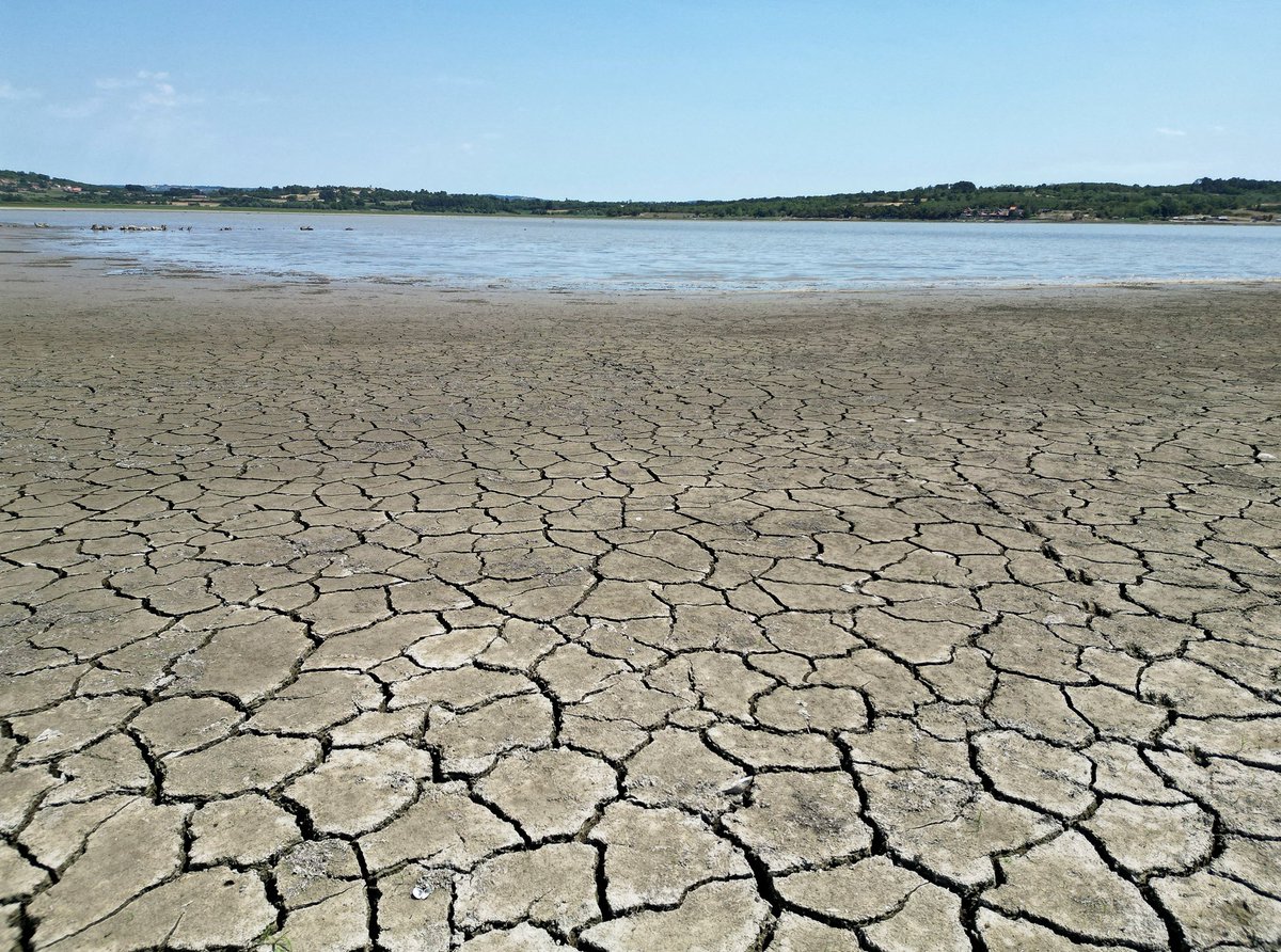 RSE_Balkan's tweet image. Vrućine prazne Gružansko jezero u Srbiji
Više: tinyurl.com/mr32u5x3
Foto: Reuters
