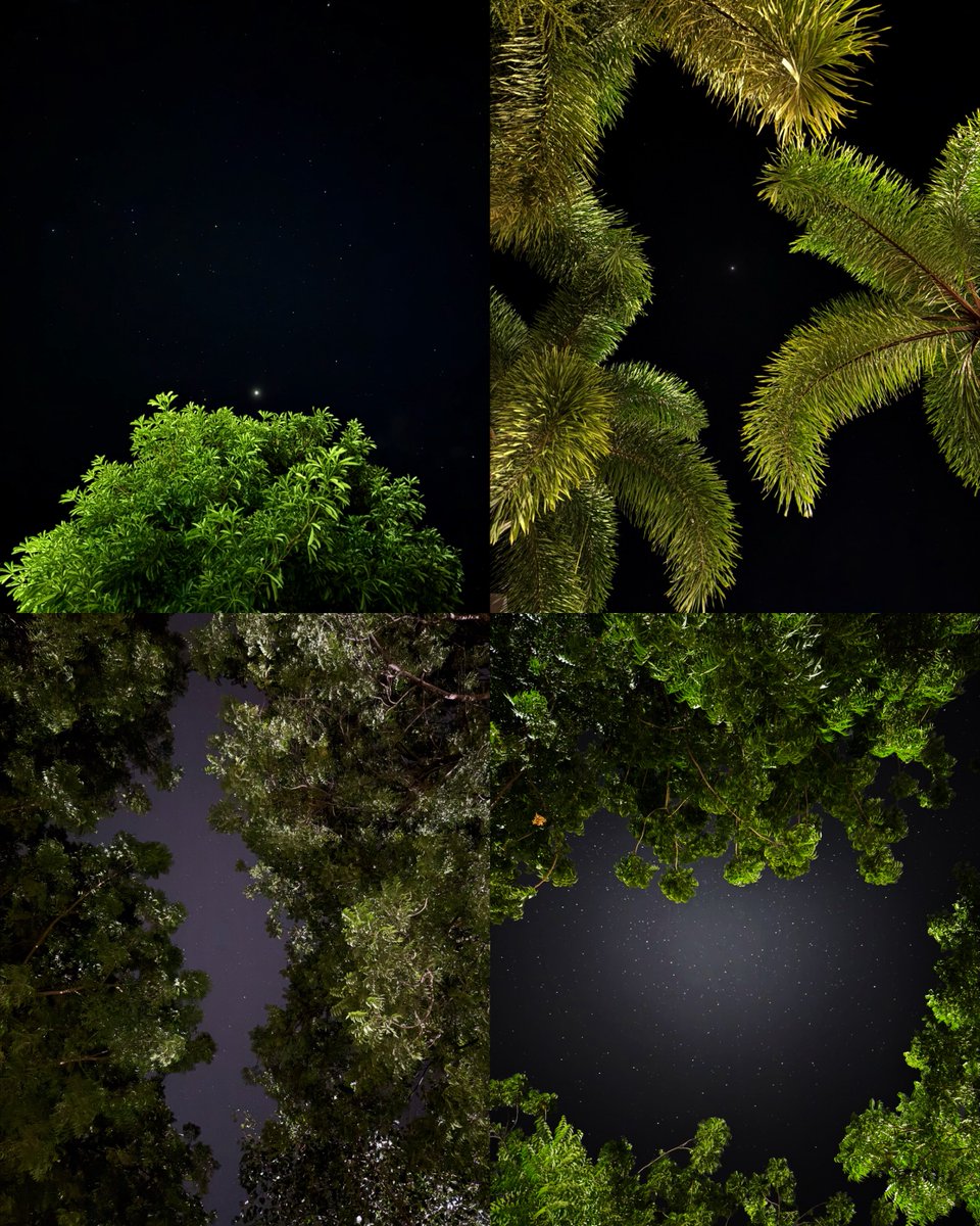 Nightscapes ⭐️