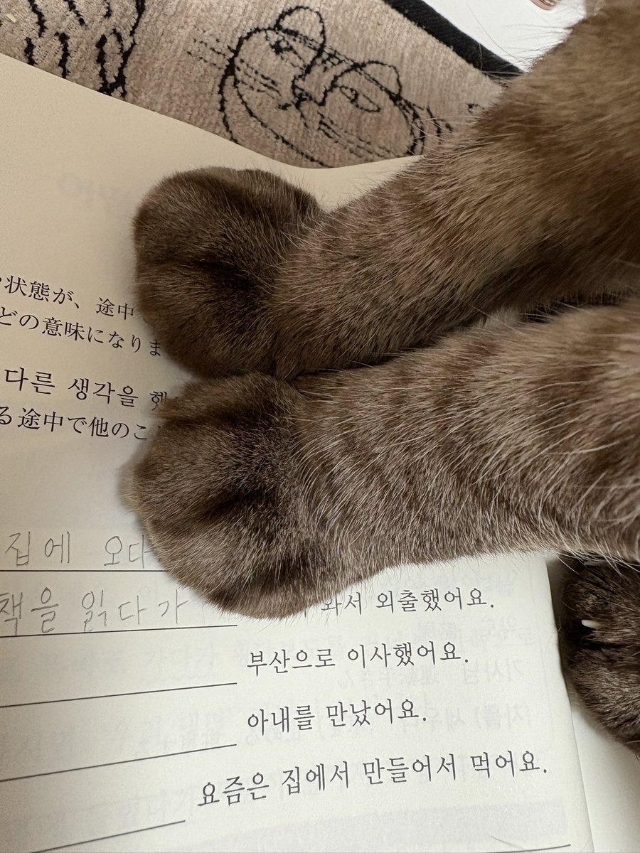 勉強してたら必ず邪魔しにくる悪魔…😅