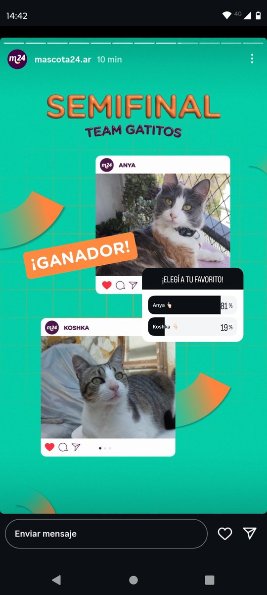 Anya está participando por un sorteo y paso a la final hoy.
Me hacen el favor de votarla.
instagram.com/stories/mascot…