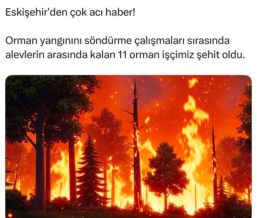 11 şehit 
11 can yandı