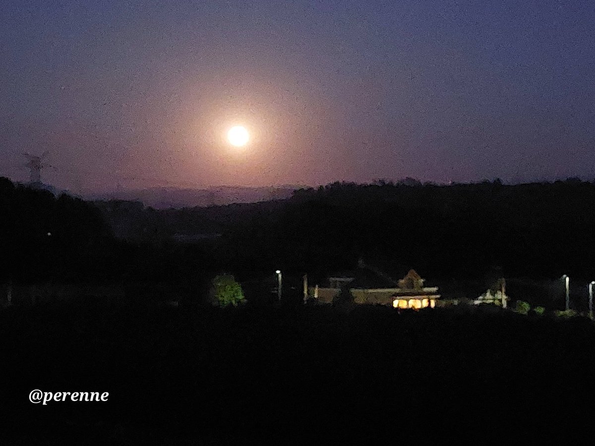 Perenne5's tweet image. Y la luna otorgó a
sus canciones el sonido
sagrado de la plata.
🖋 Julio Llamazares