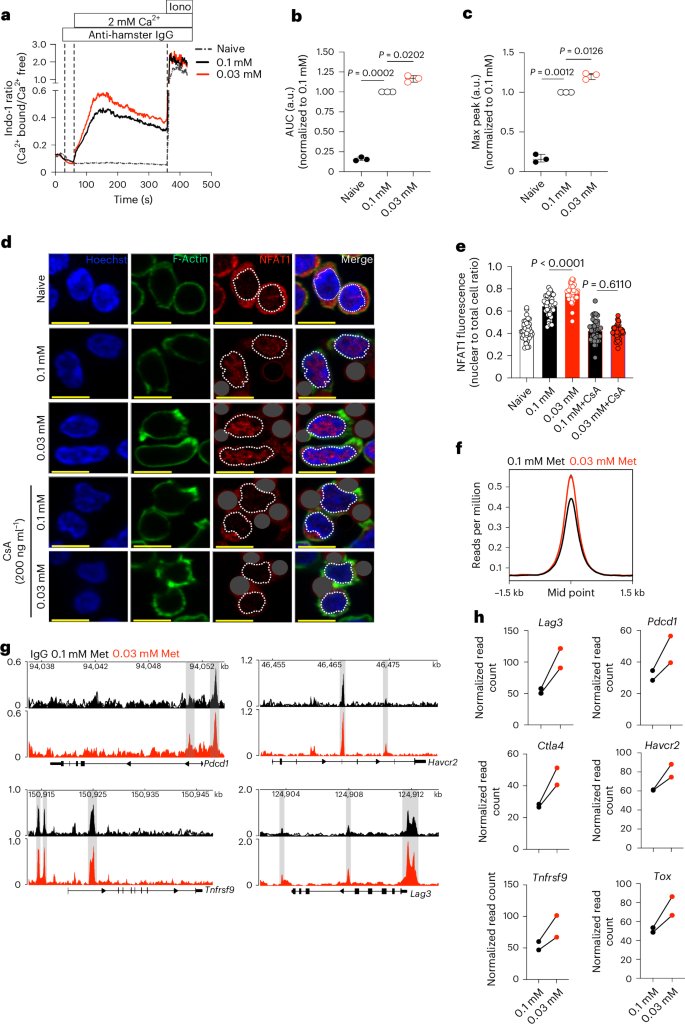 LabWaggoner's tweet image. Early methionine availability attenuates T cell exhaustion @NatImmunol 
nature.com/articles/s4159…