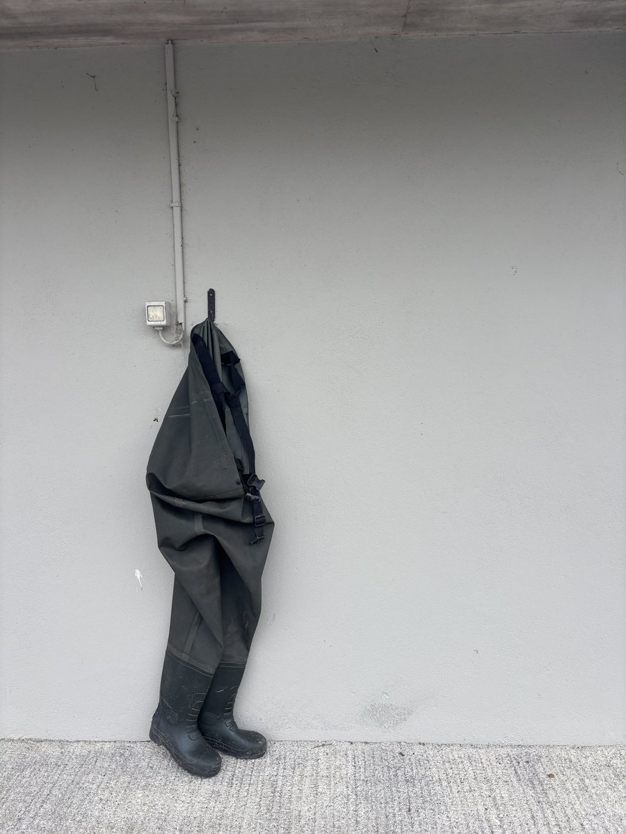 New day, same game. 🩵

#freshwater #fieldwork #eDNA