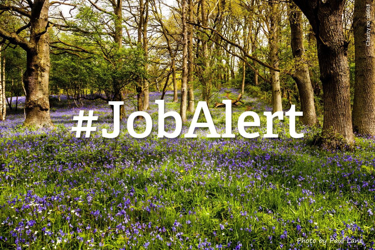 WorcsWT's tweet image. Are you an experienced ecologist looking for your next move?
Worcestershire Wildlife Consultancy is looking for two senior ecologists to be responsible for delivering ecological services and projects for a range of clients.
The work of the ecological consultancy team plays a…