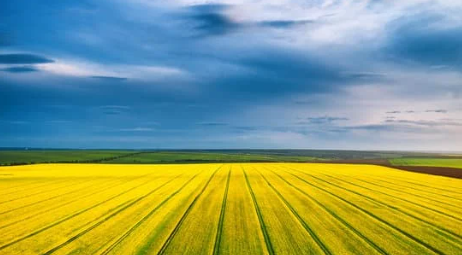 Your insights don’t just sit on paper - they influence the decisions that affect your industry every day. Sign up now and let your voice make a lasting impact! 

#Agriculture 
#AgTwitter