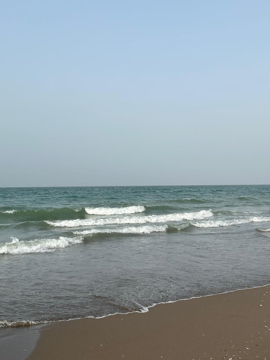 #المصنعة 💫💫