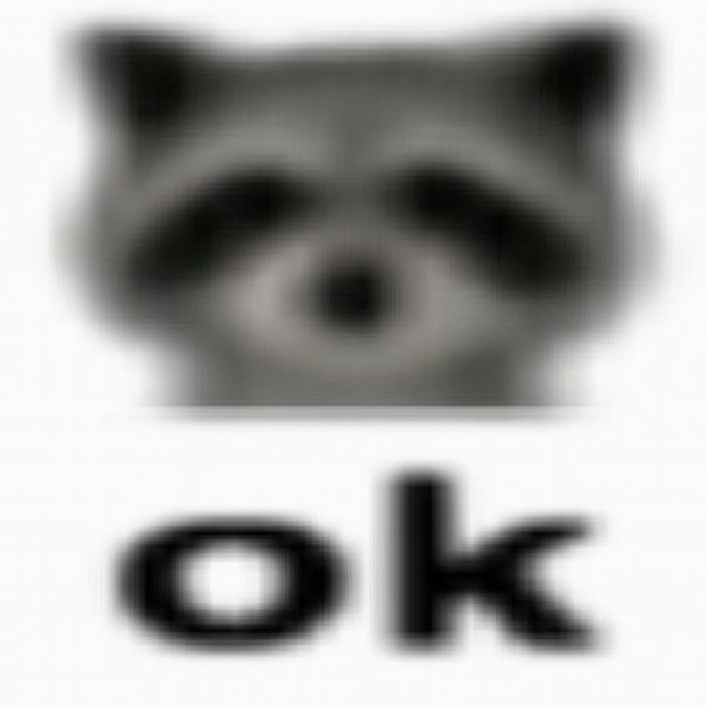 raccoon aesthetic. (@raccoonesthetic) on Twitter photo 