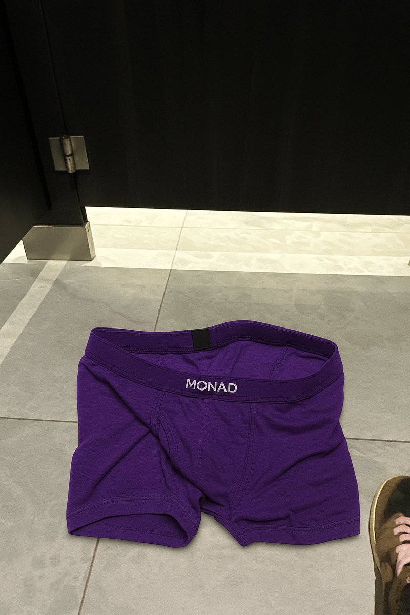 People taking <a href="/monad/">Monad ⨀</a> merchs pictures!? 

I take toilet pictures 😤

U and i not the same
