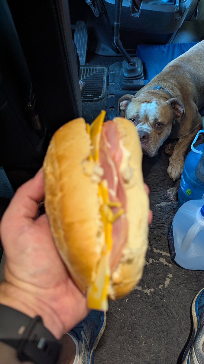 TruckinEh's tweet image. Is this a sandwich,
hoagie or sub?
Either way, Cash doesn't care, he just wants his share.