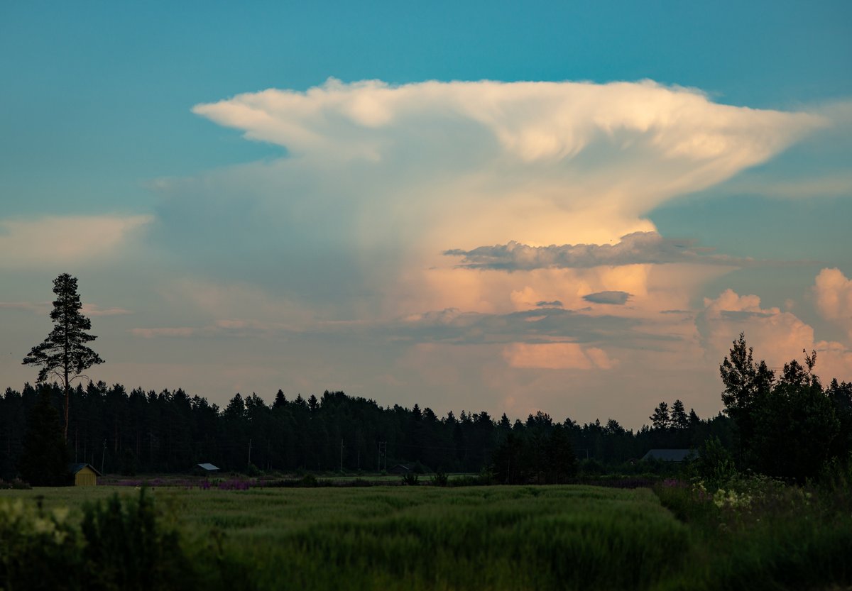 Jariy's tweet image. Ukkospilvi kuvattuna Vihannista 20.7.2025  Savon suuntaan. Pilveen etäisyyttä n. 150km.  #ukkonen
