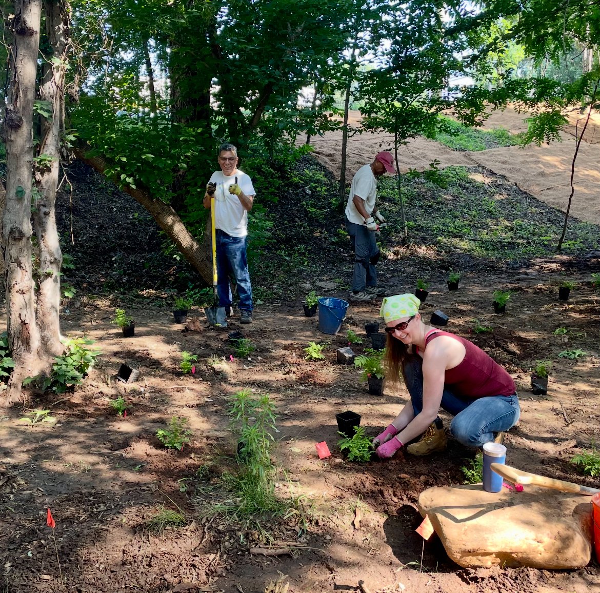 klingensteinorg's tweet image. Congratulations to the Community Native Planting Project on receiving an Esther A. & Joseph Klingenstein Fund Environment Program grant to transform two sites in Bladensburg, MD, into thriving ecological spaces and community amenities.
communitynativeplantingproject.org