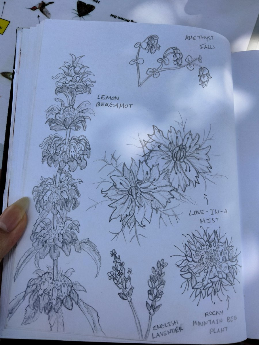 mara_basic's tweet image. Flower doodles cuz touching grass heals the soul