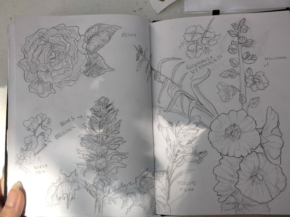 mara_basic's tweet image. Flower doodles cuz touching grass heals the soul