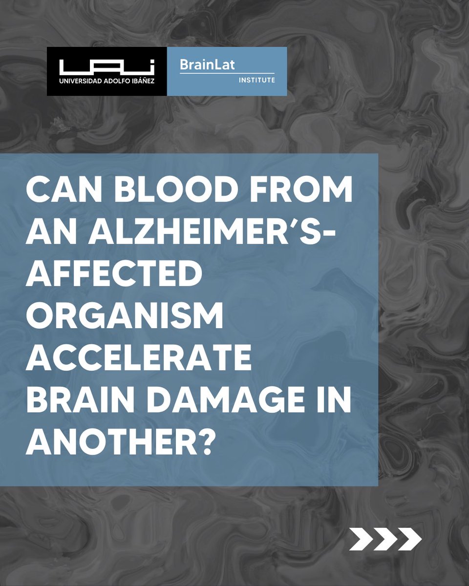 BrainlatUAI's tweet image. New research led by BrainLat UAI’s Durán-Aniotz, Pizarro & Vegas-Gómez shows that peripheral blood from tau transgenic mice worsens brain pathology and cognitive function.
Read here: doi.org/10.1371/journa…
@UAI_CL @Psicologia_UAI @gerochile @GBHI_Fellows @atlanticfellows