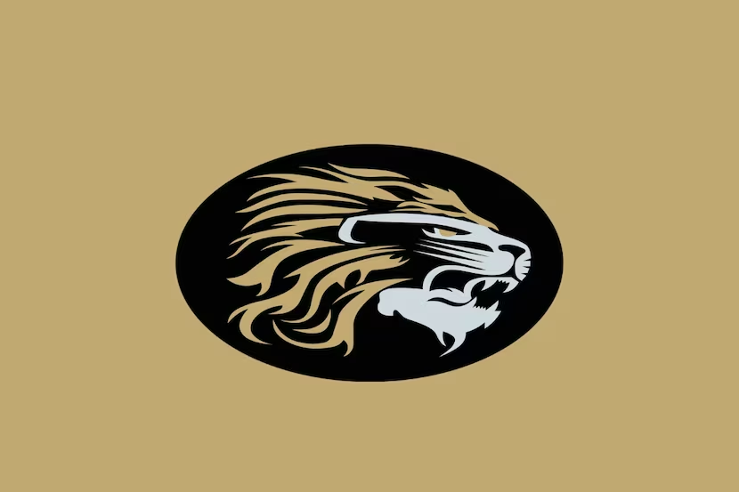 SportsDayHS's tweet image. TXHSFB primer: The top returning Dallas-area 5A receiving leaders for the 2025 season
Full story 👇
dallasnews.com/high-school-sp…