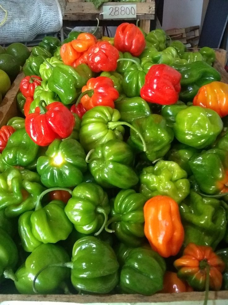 I like agriculture. Do you plan to invest there?