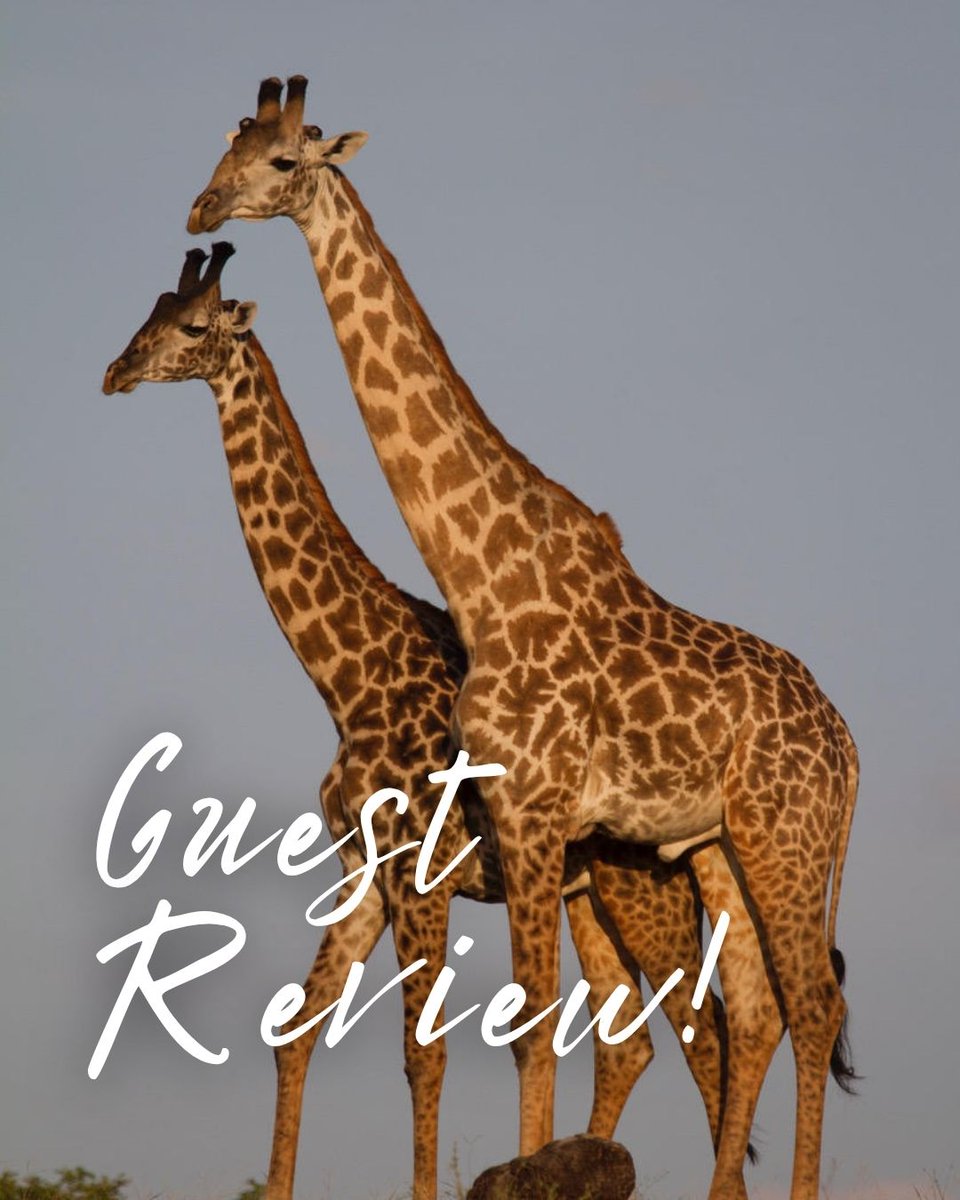 "Best experience ever"

Thank you to our guests Rubin &amp; Anne Marie for this fantastic <a href="/Tripadvisor/">Tripadvisor</a> review for their stay with us in June 2025.