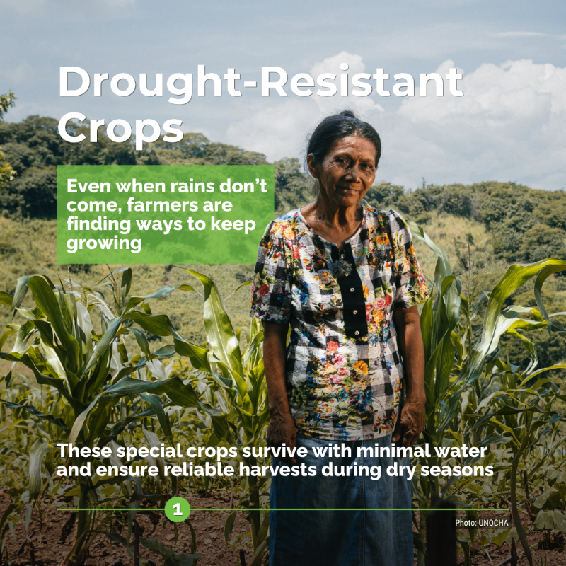 UNOCHA's tweet photo. Innovation is helping communities build resilience in the face of climate threats. 🌍💡🌱

👉 Swipe to see how UN Climate Relief is creating a brighter future around the world.

#UNClimateRelief #InvestInHumanity