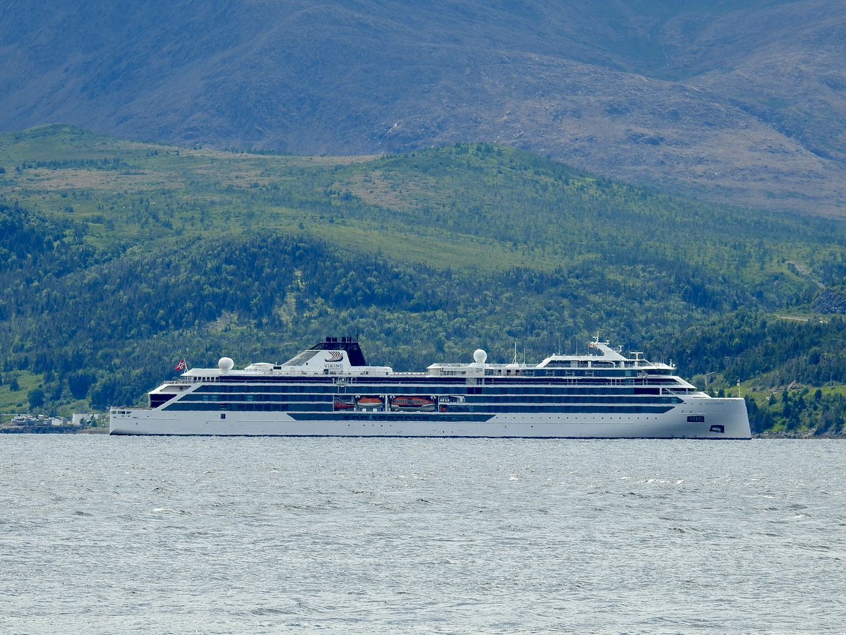 stan_sdcollins's tweet image. Some more photos for tomorrow as I will be busy catching up on my gardening following Shelley’s visit. The Viking Octantis in the harbour yesterday. Every year we see more and more cruise ships here as they continue to look for more interesting locations to visit.