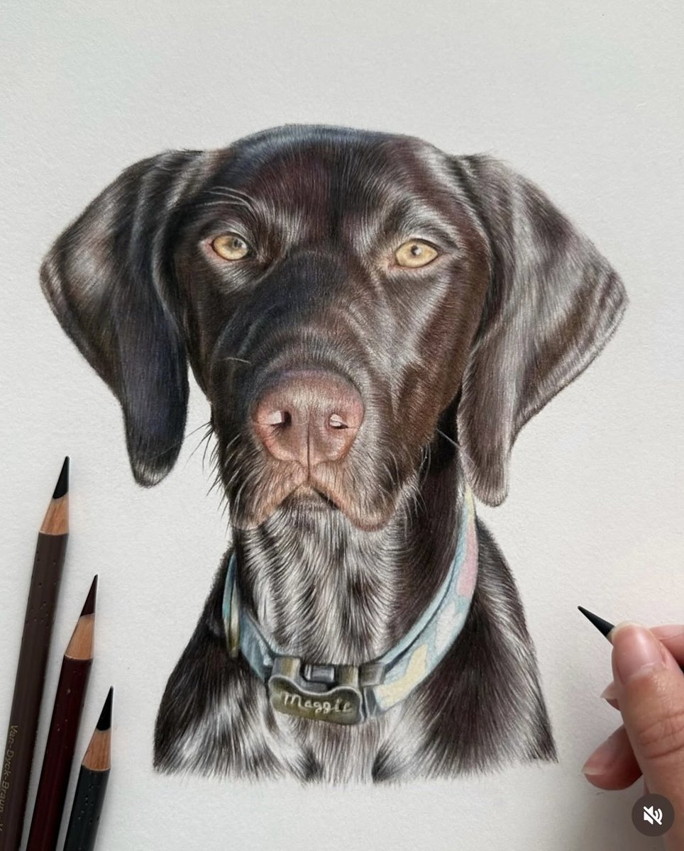 afra_art56's tweet image. Please Rate My Work pencil ✏️ drawing Out Of 1-10?
Order on 👇
💌 afrao4416@gmail.com