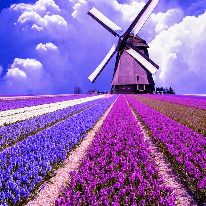 Brillo_y_luz's tweet image. Que todo lo bello te llegue
y te abrace con amor,
que nunca te suelte
y seas feliz por siempre .. ✨️💜