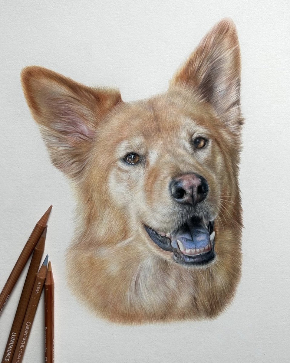 afra_art56's tweet image. Please Rate My Work pencil ✏️ drawing Out Of 1-10?
Order on 👇
💌 afrao4416@gmail.com