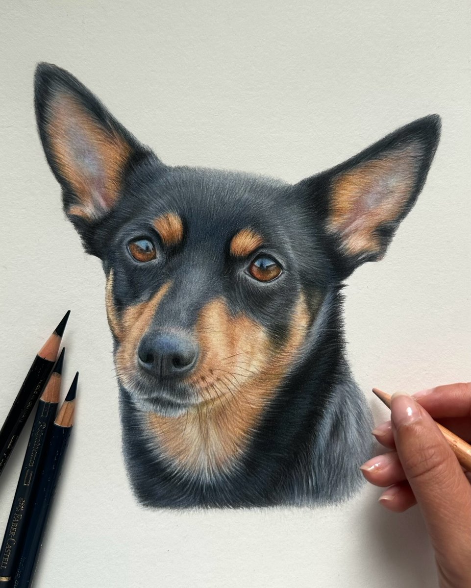 afra_art56's tweet image. Please Rate My Work pencil ✏️ drawing Out Of 1-10?
Order on 👇
💌 afrao4416@gmail.com