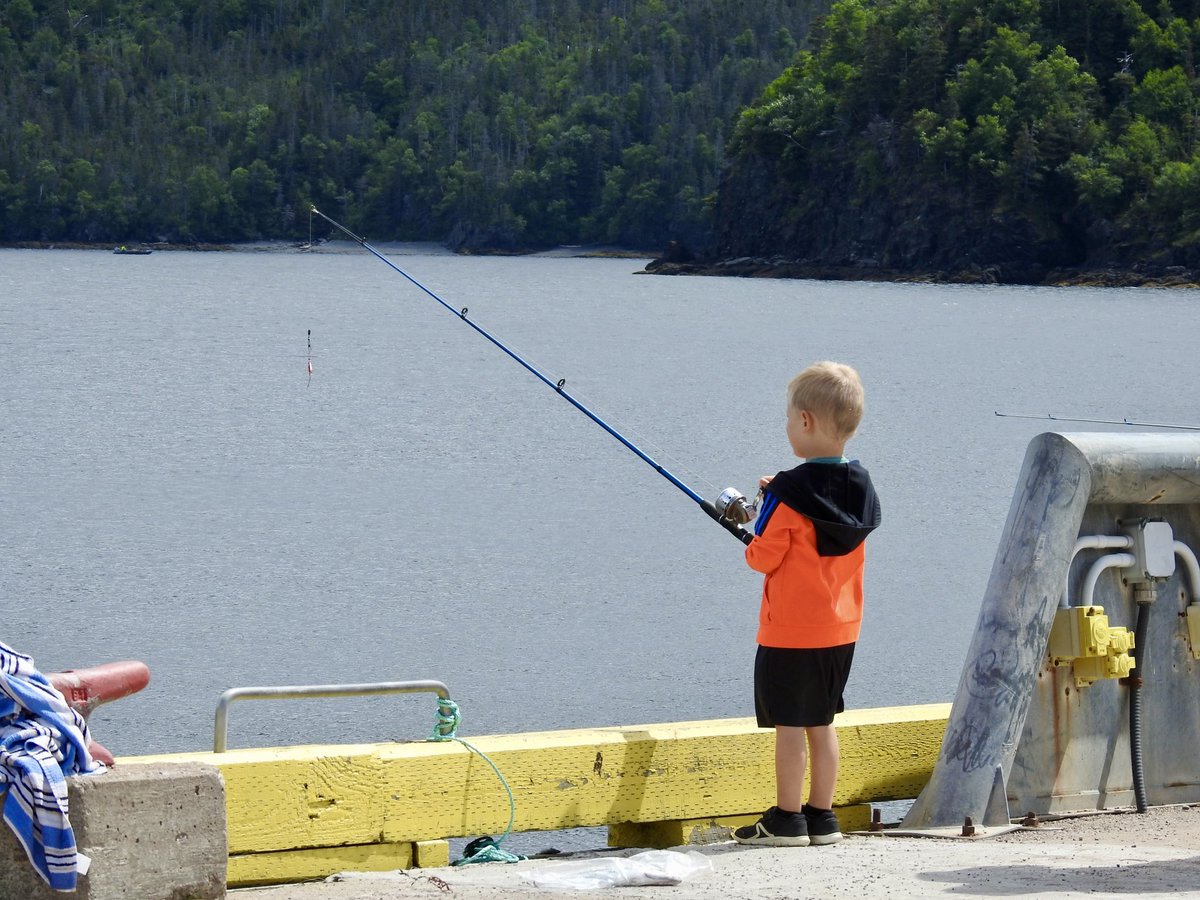 stan_sdcollins's tweet image. A day fishing with Poppy and dad. I can still remember dad taking me fishing when I was this age. Can you? Some things you just never forget.