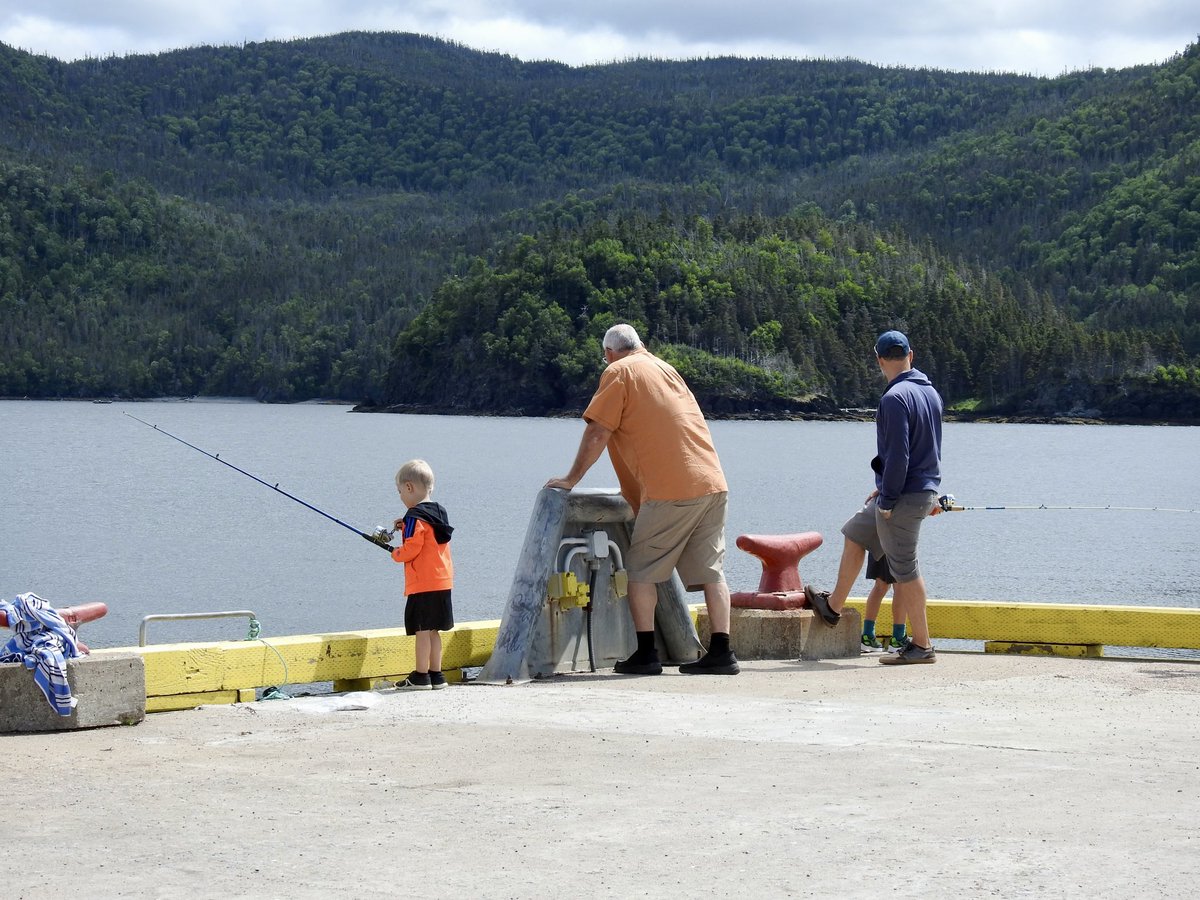 stan_sdcollins's tweet image. A day fishing with Poppy and dad. I can still remember dad taking me fishing when I was this age. Can you? Some things you just never forget.