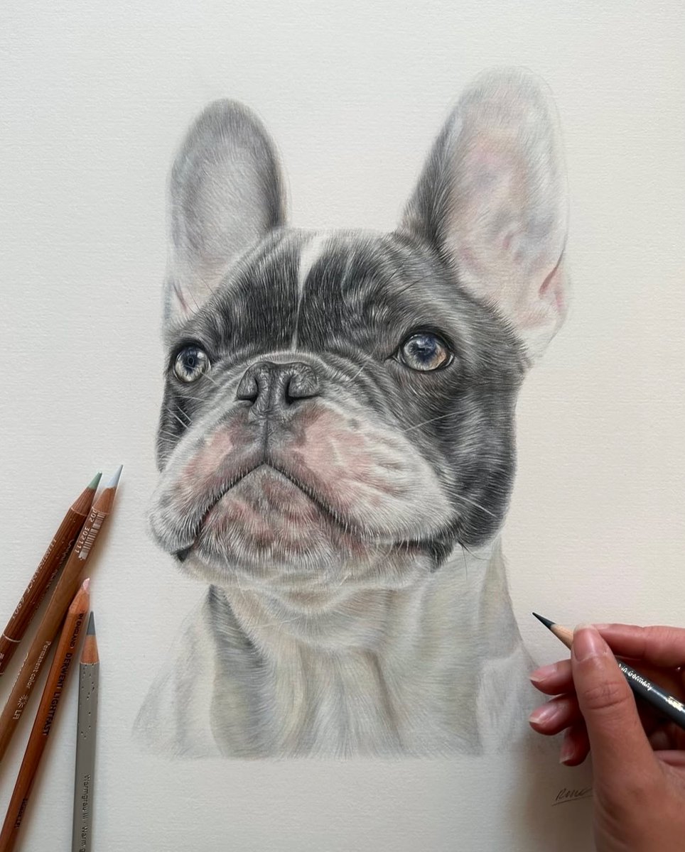 afra_art56's tweet image. Please Rate My Work pencil ✏️ drawing Out Of 1-10?
Order on 👇
💌 afrao4416@gmail.com