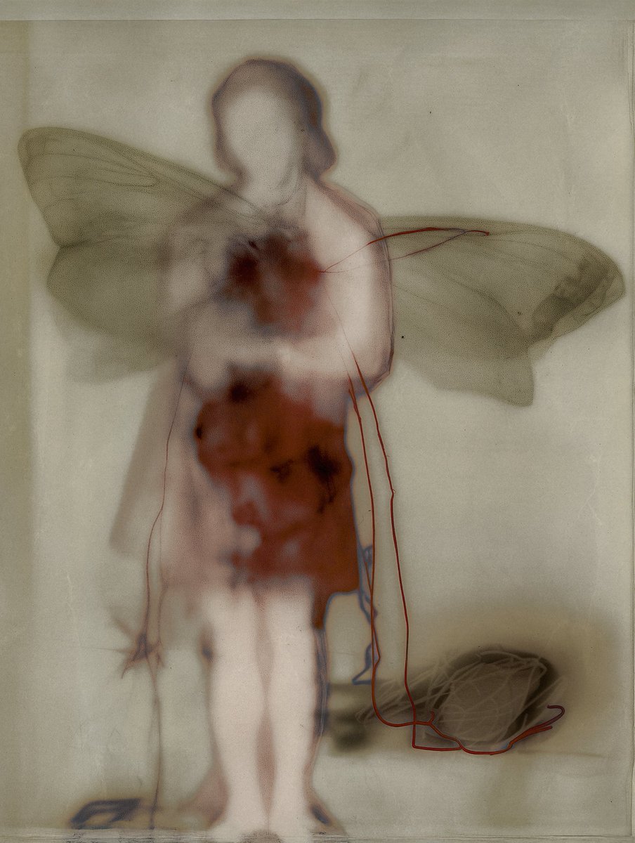 lykaiiiii's tweet image. i used to believe i could fly.