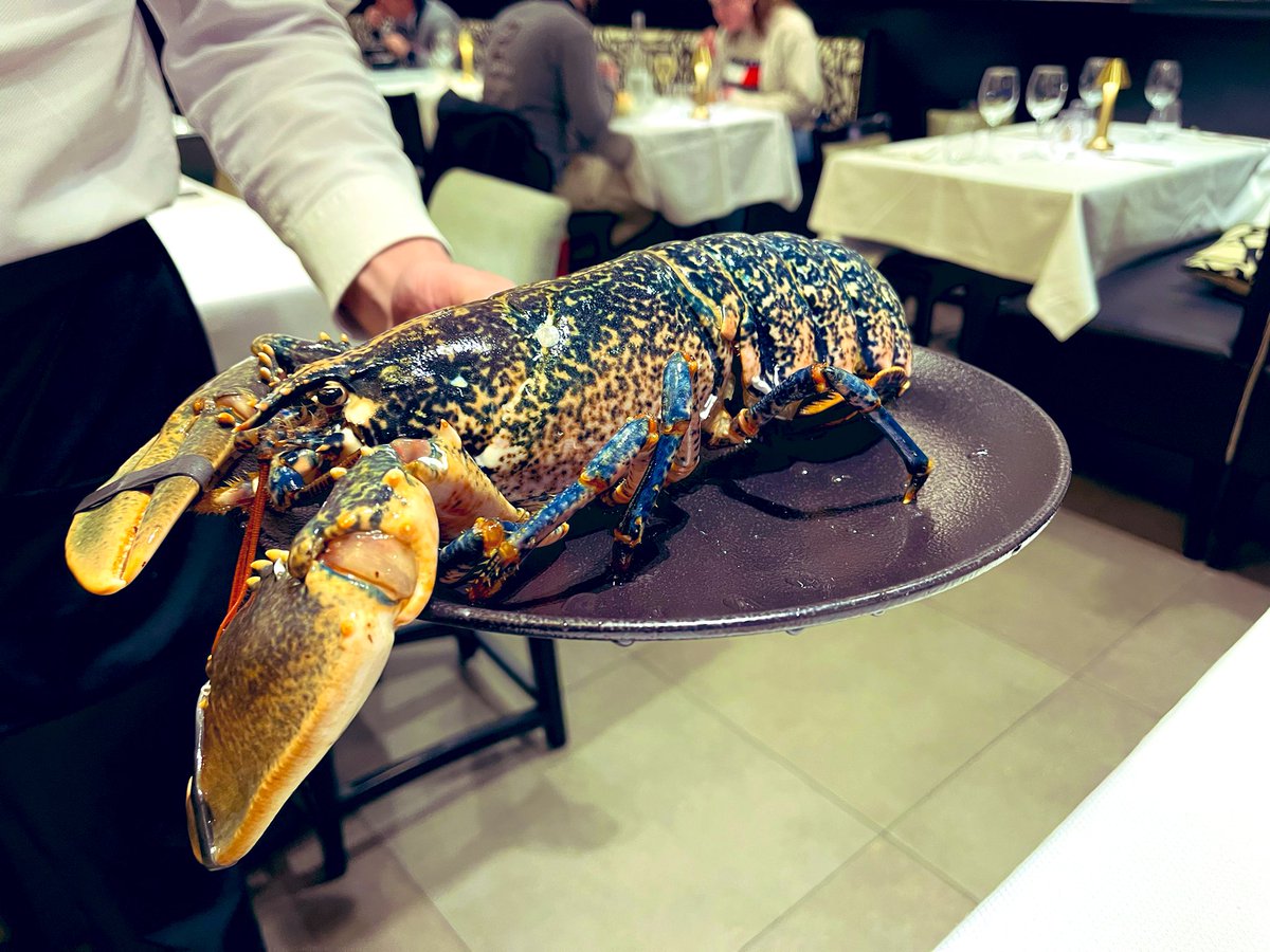 E2Villiers's tweet image. Le homard 🦞 grillé 🤪 . En voilà un qui va se souvenir de mon anniversaire 🤣
