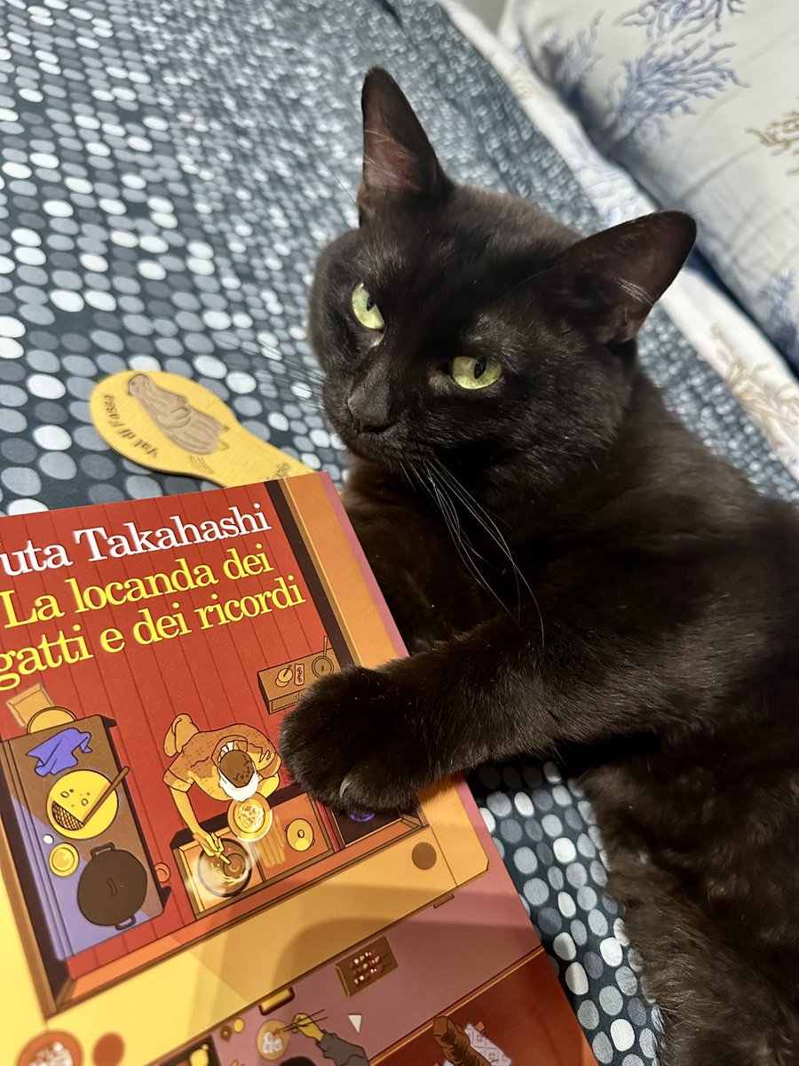 PamDdr16's tweet image. Oggi il consiglio me lo da lui… dice che è un bel libro.
Fidiamoci❤️
#gatti