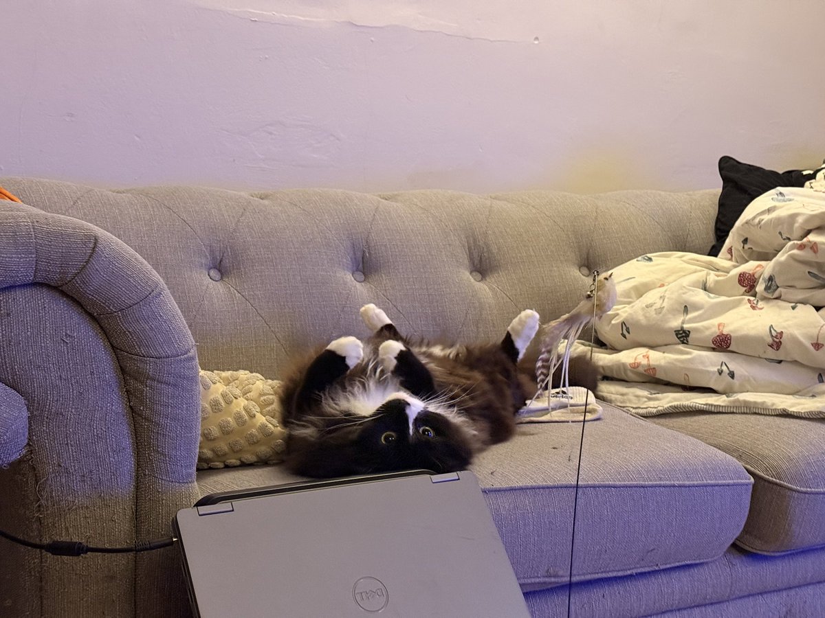 burgerboyjord's tweet photo. @oreoeocat I offer you, upside down Frank https://t.co/7mNbmD8Mdk