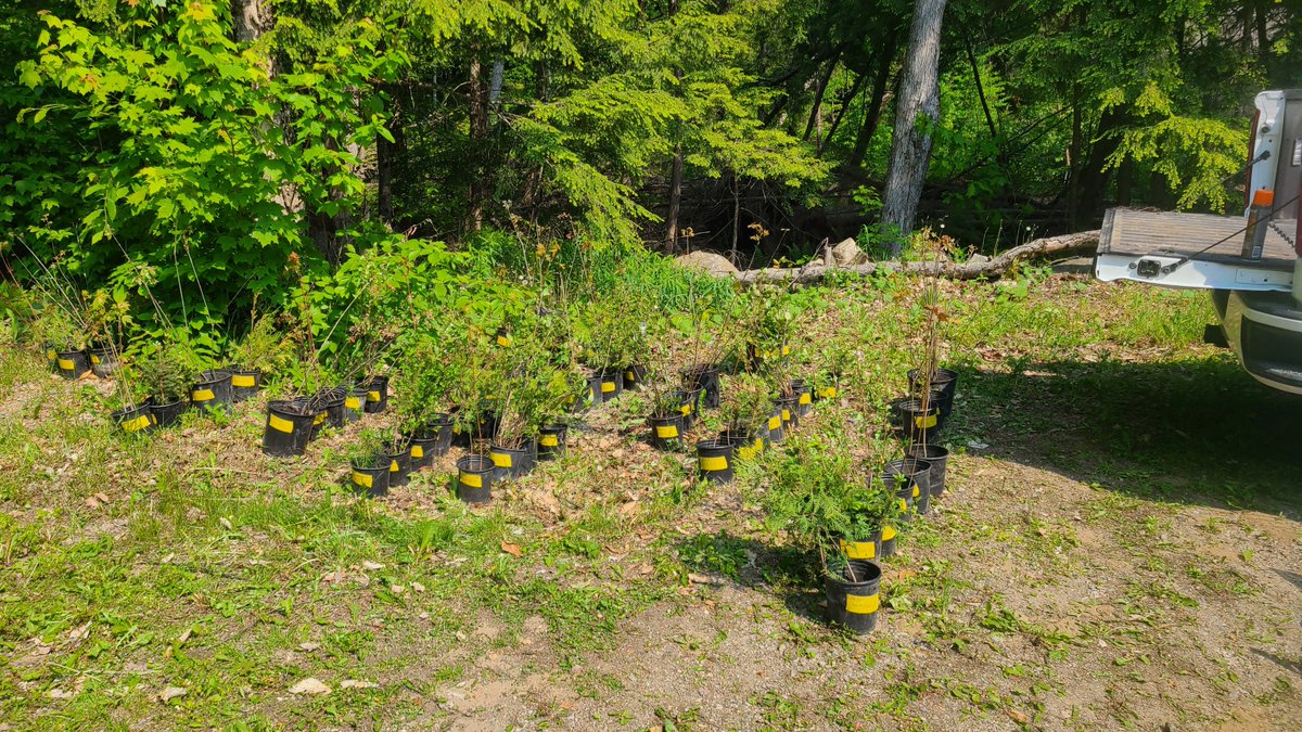 MVCA is proposing changes to the fees for visitor services, corporate/administrative services and stewardship services. The proposed fees will take effect September 1, 2025. Details can be found: mvc.on.ca/updates-to-mvc…
Comments  will be accepted until August 25, 2025.