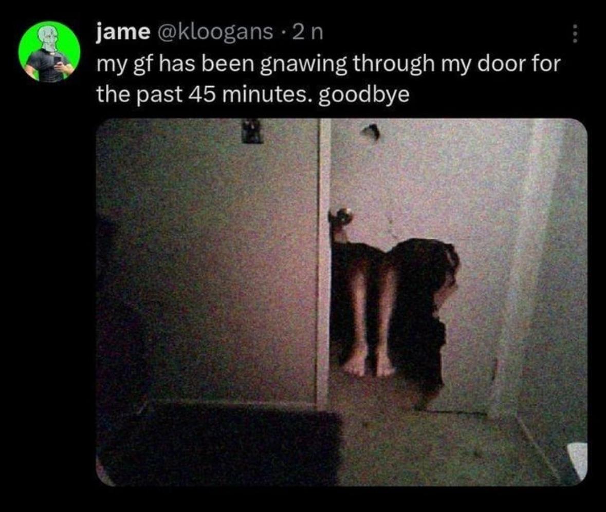 LetGirlzHaveFun's tweet image. from u/TheSusBird