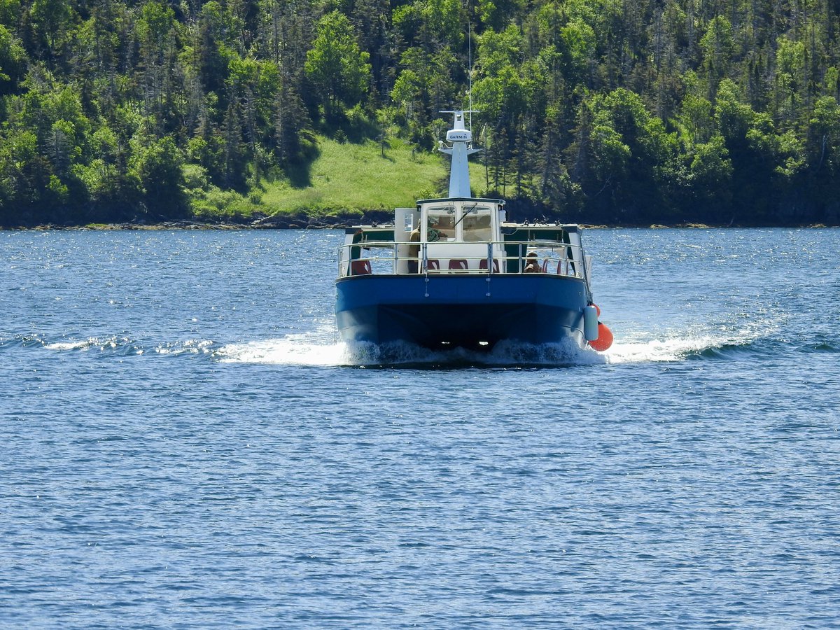 stan_sdcollins's tweet image. The water taxi returning from Woody Point. There does not seem to be many people on it today in the much cooler weather.