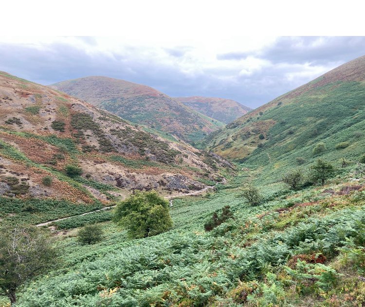 Haven’t been up this valley for a while but glad I did this evening.