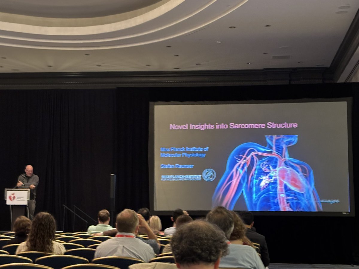 SeanM_Wu's tweet image. Opening session of AHA #bcvs2025 w @drstaceyrosen @FarahSheikhLab @mkontari followed by sarcomere structure biology w Stefan Raunser, Michael Greenberg @ WUSTL & @JC_Tardiff @AHAScience @AHAMeetings @BCVSearlyCareer