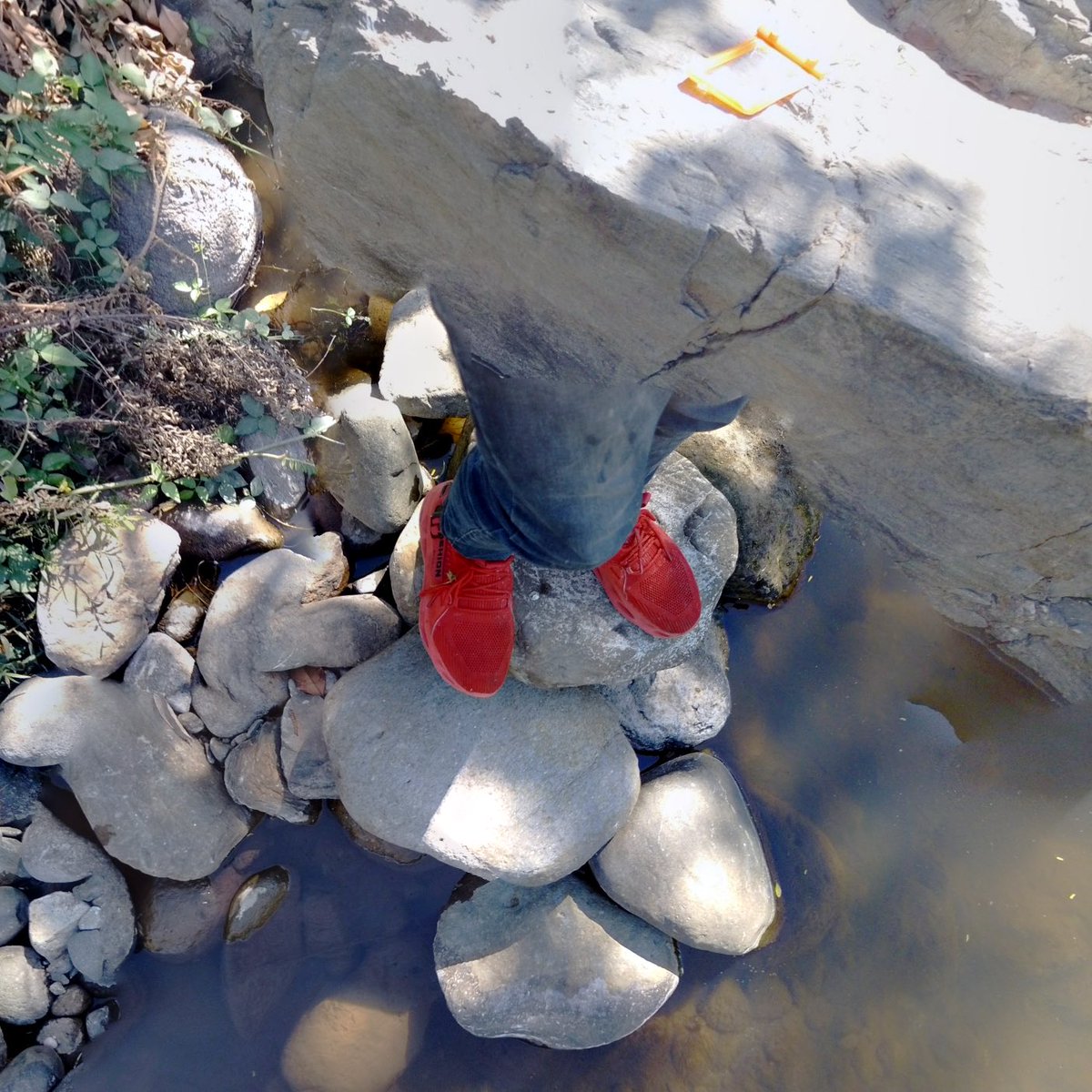 StreetviewFeet's tweet image. Good evening 🔴👟
👣StreetViewFeet #23👣
5/5 available | 3 XTZ
objkt.com/tokens/KT1DD44…
Digital Traces collection — a series of feet screenshots captured from virtual maps.