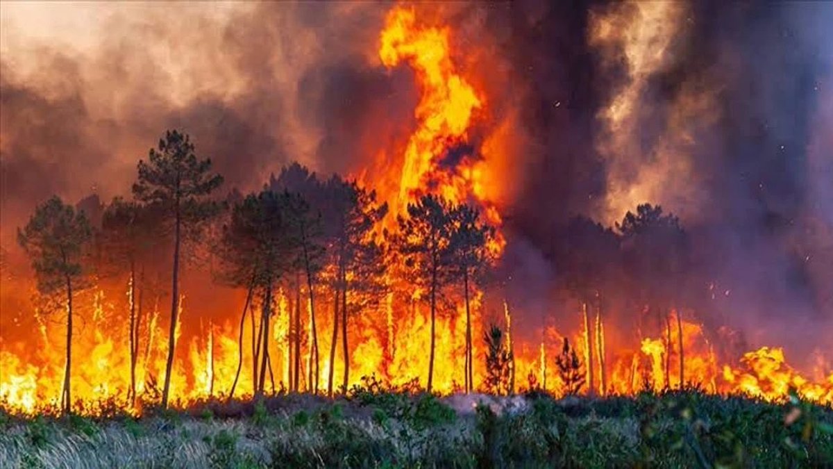 Eskişehir’deki orman yangınlarında 10 kişi şehit oldu
Hava sıcaklıklarının rekor seviyelere yükselmesi ile birlikte yurt genelinde orman yangınları ile mücadele sürüyor
Eskişehir’deki orman yangınına müdahale eden 5 orman işçisi, 5 AKUT gönüllüsünün hayatını kaybettiği bildirildi