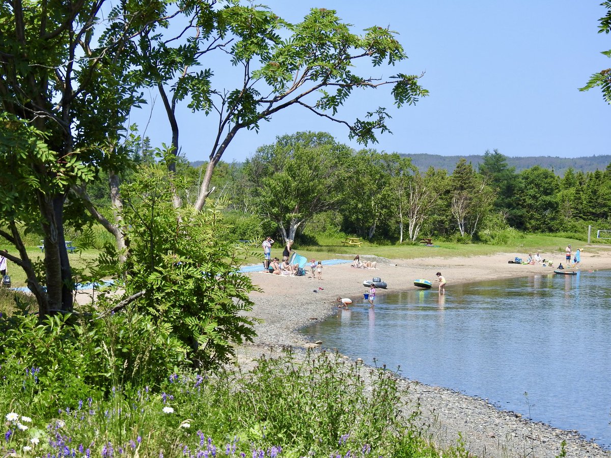 stan_sdcollins's tweet image. A warm afternoon at Rocky Harbour Pond unlike today. Our temperatures slipped again and today while sunny it is only 16 degrees. I have been shivering all day! This little beach is a great day use area close to town that is popular with local families.