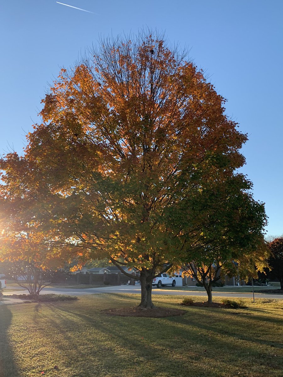 How many more days until fall?
<a href="/Architectolder/">🏛Architectolder</a>, I bet you know.