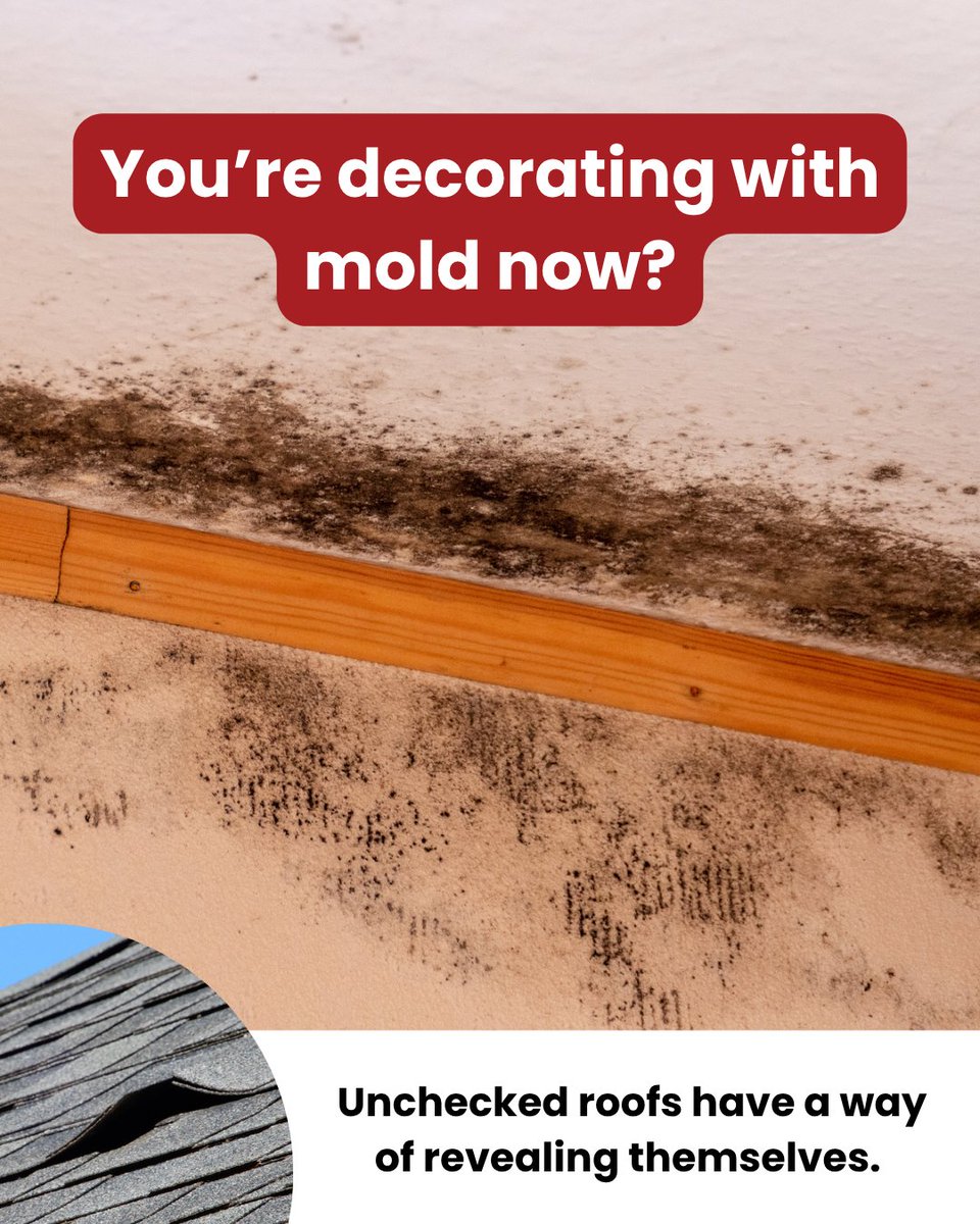 Don’t wait for damage to make itself at home. Erie Home roofs stop problems before they start — giving you protection and peace of mind. 

#ErieHome #WaterDamage #RoofDamage #Roof #Replace